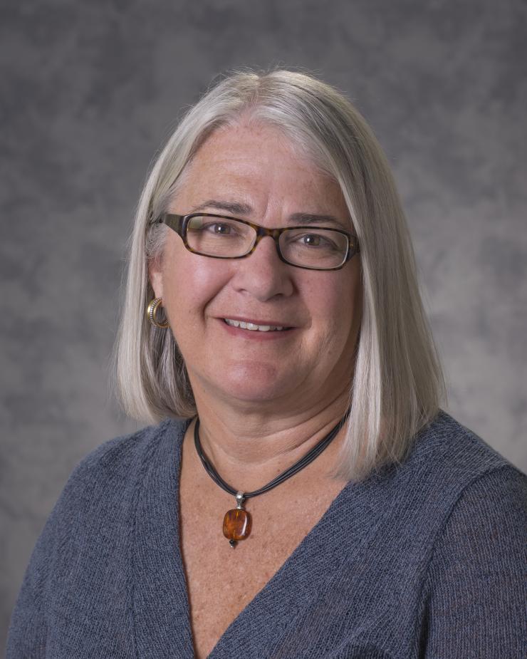 NSF Appoints CEISMC’s Lizanne DeStefano to STEM Education Advisory Panel